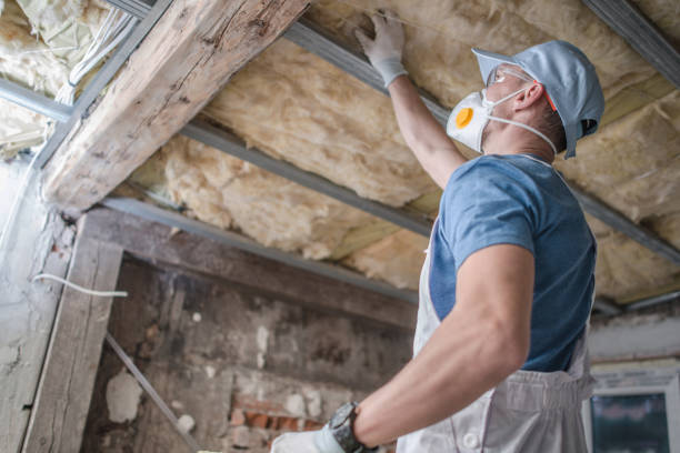 Best Types of Insulation in Wyanet, IL