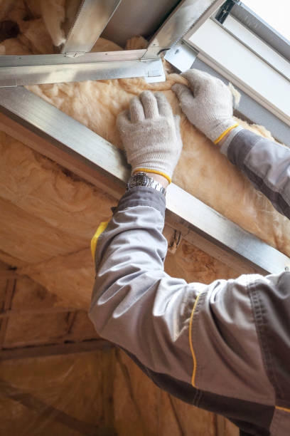 Best Insulation Installation Services in Wyanet, IL
