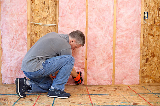 Best Insulation Installation Services in Wyanet, IL